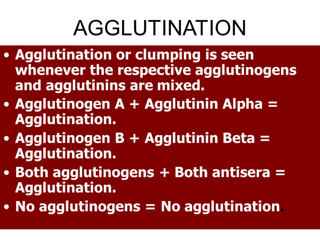 AGGLUTINATION Agglutination or clumping is seen whenever the respective agglutinogens and agglutinins are mixed.